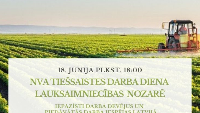 Vizualizācija