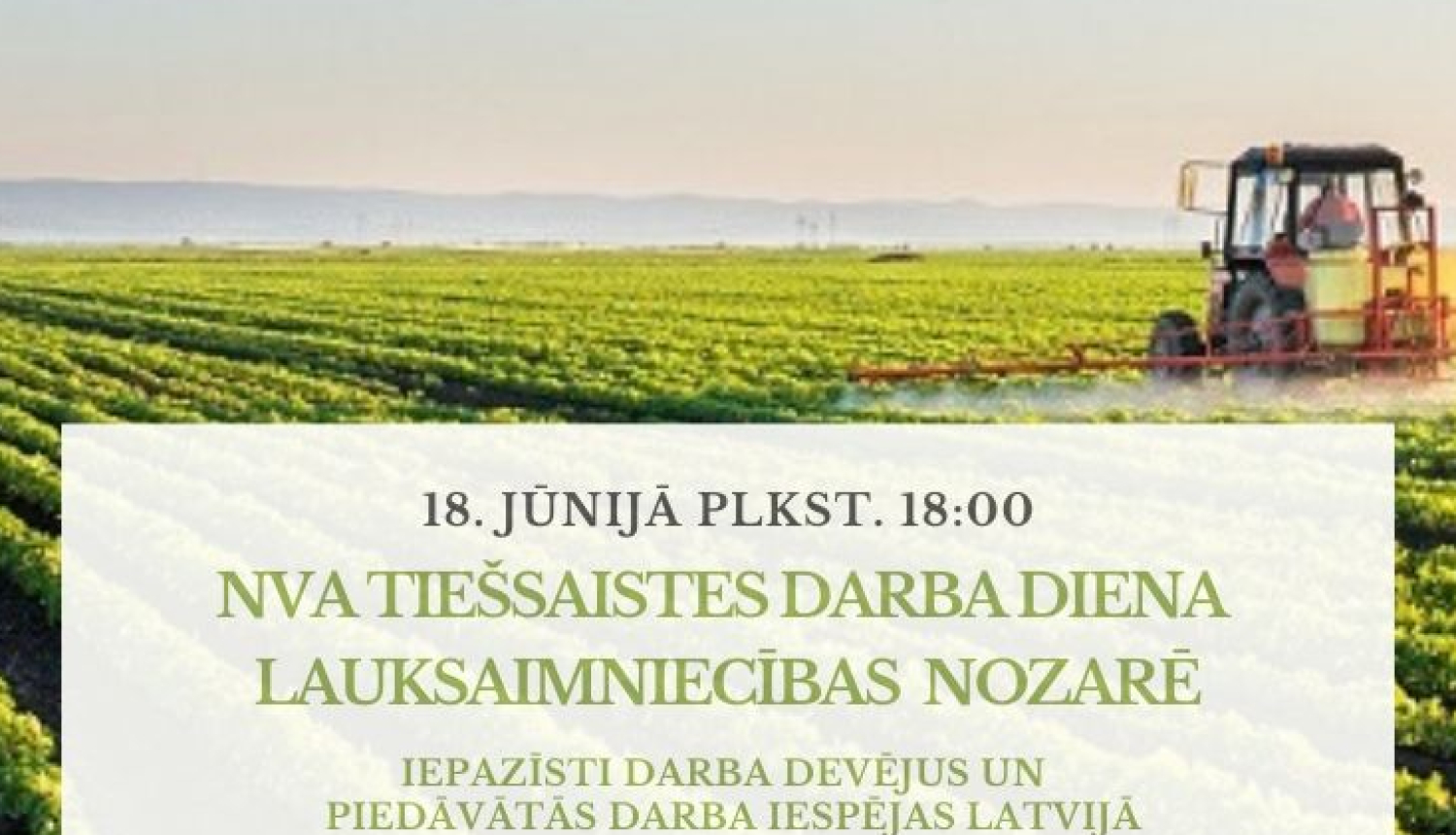 Vizualizācija