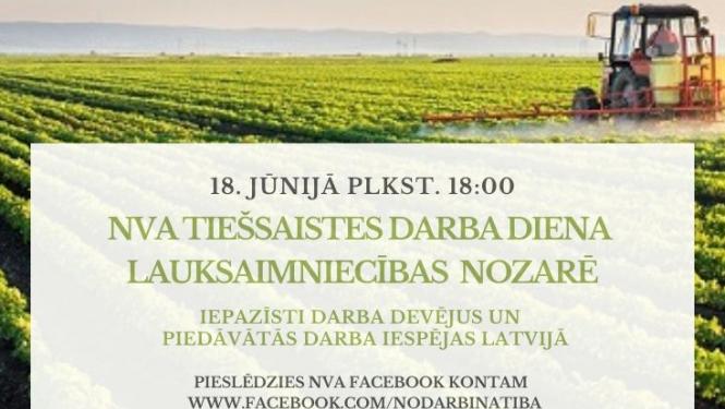 Vizualizācija