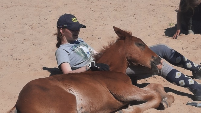 Anna Miķelsone vasaras brīvlaikā strādā biedrības “Eguss” zirgu stallī