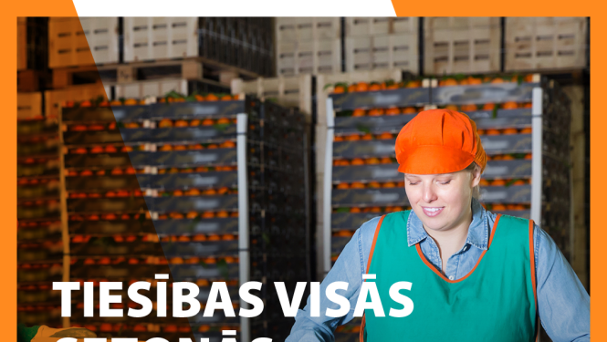 Tiesības visās sezonās