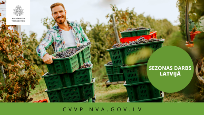 NVA logo, tekstuāls saturs. foto: sezonas darbs, ogu vākšanas