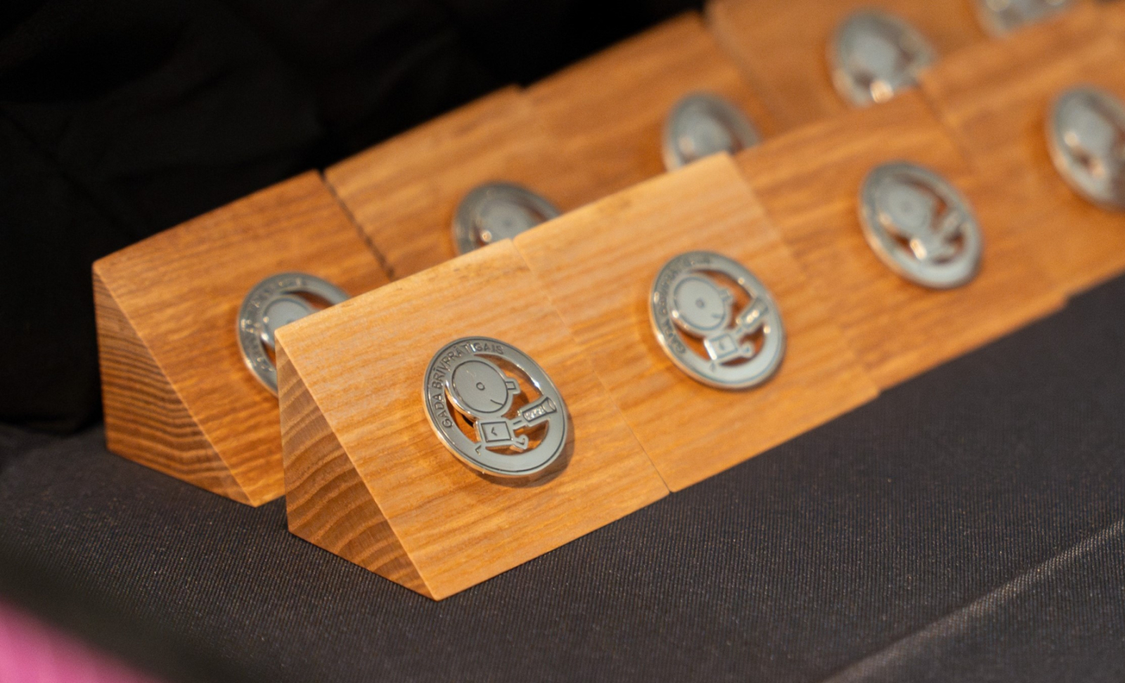 “Gada brīvprātīgais 2025” balvas zīme — metāla emblēma uz koka pamatnes.