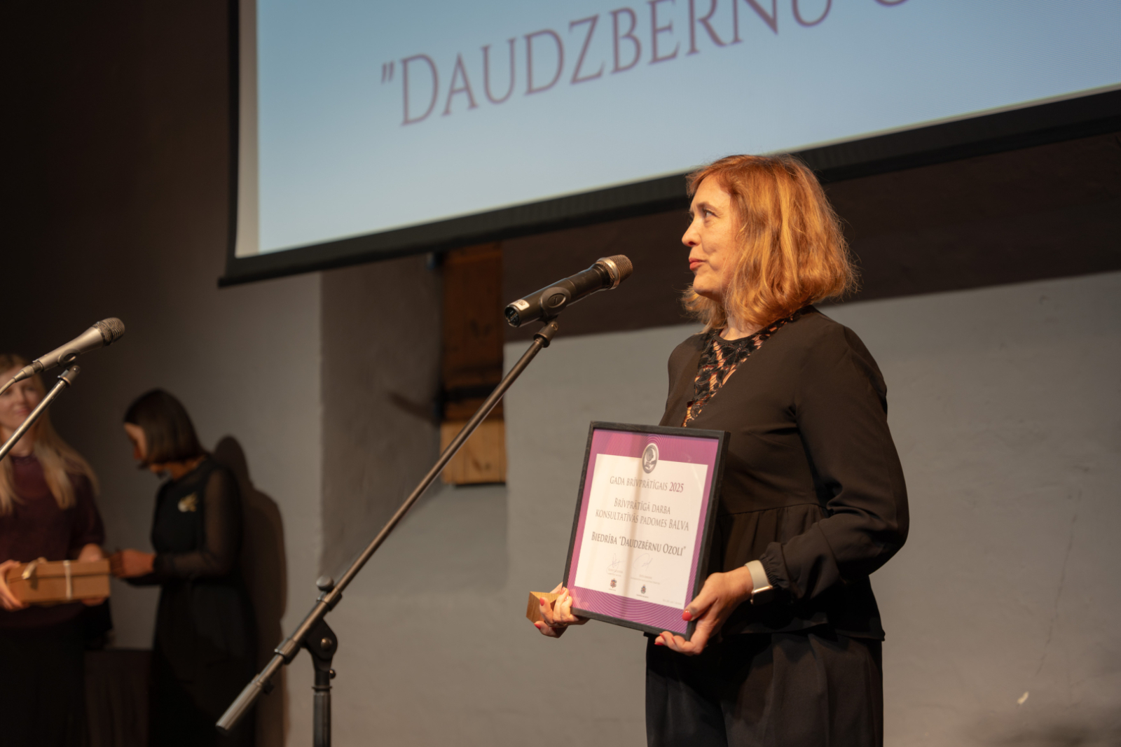 “Gada brīvprātīgais 2025” apbalvošanas ceremonijas foto