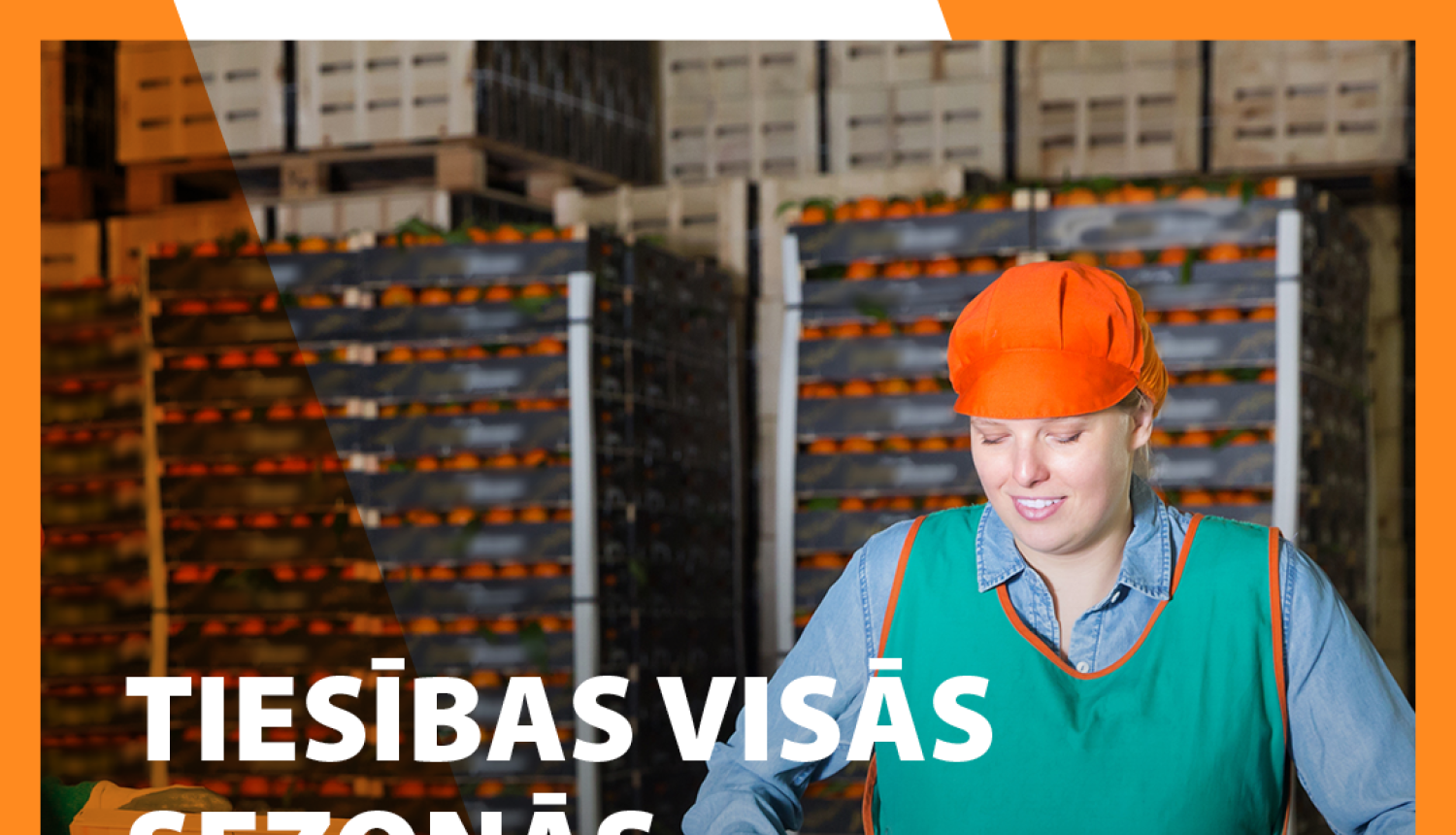 Tiesības visās sezonās