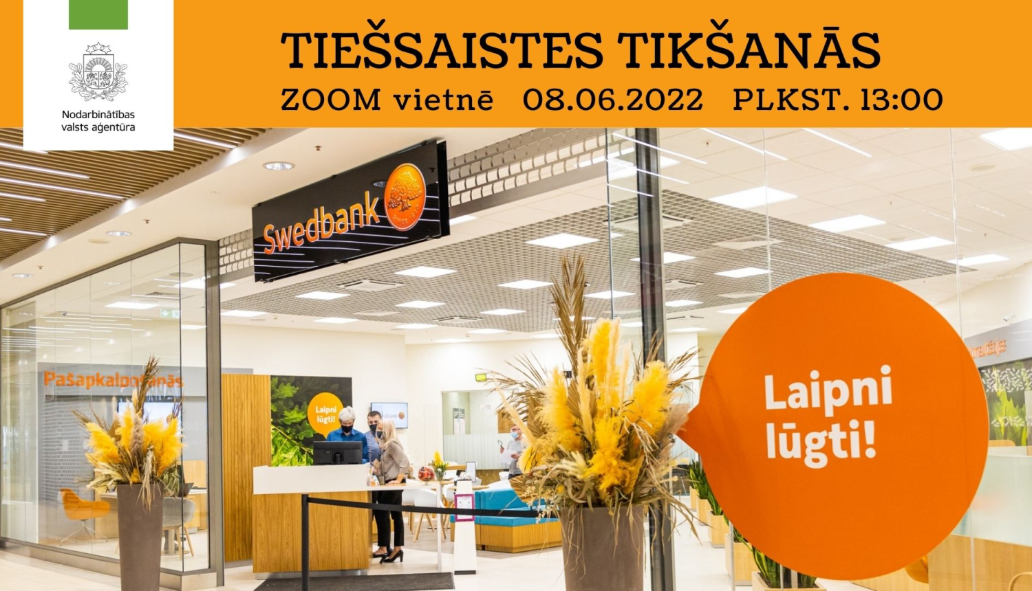 NVA logo, foto: Swedbank 