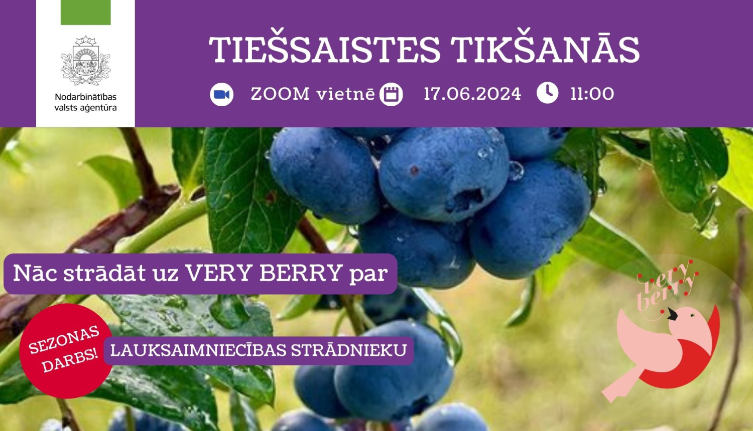 Tiešsaistes tikšanās par sezonas darba iespējām SIA “Very Berry”