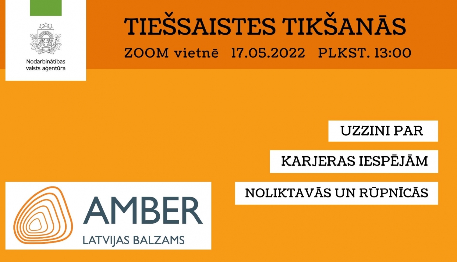 NVA logo, AMBER logo, tekstuāls saturs